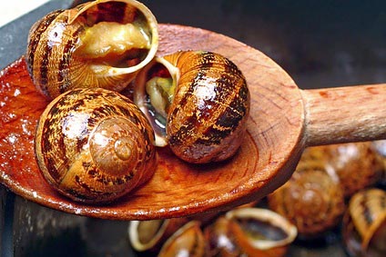 escargots de bourgogne